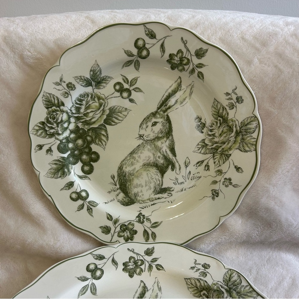 Maxcera Easter Bunny Green White Rose Toile Dinner Plates Set of 4 - NEW - Picture 2 of 4